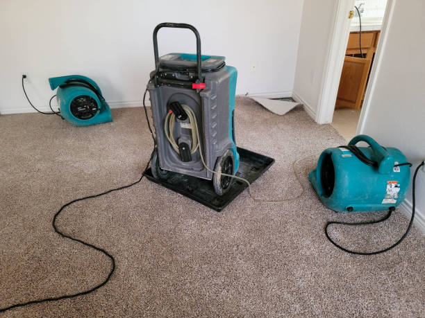 Best Basement water damage restoration  in Clinton, IA