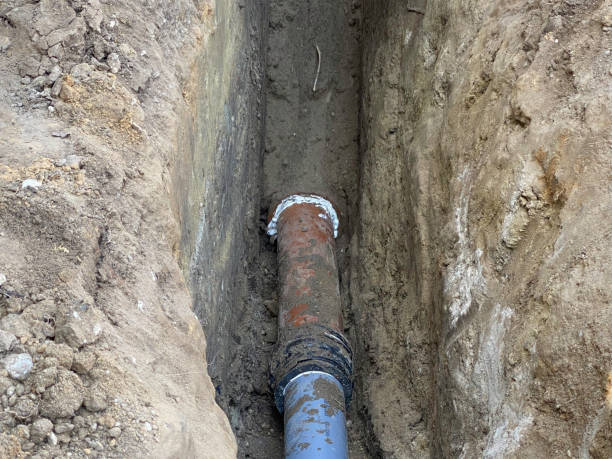 Best Flood damage cleanup  in Clinton, IA