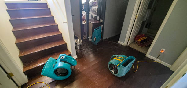  Clinton, IA Water damage restoration Pros