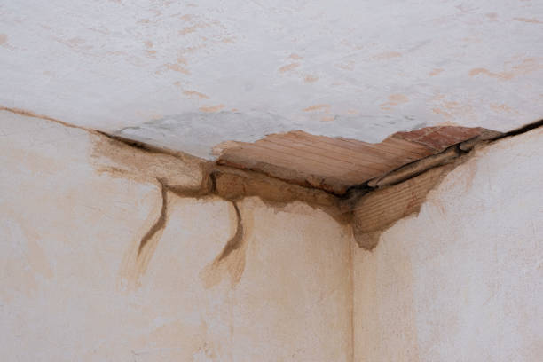 Best Flooded house restoration  in Clinton, IA